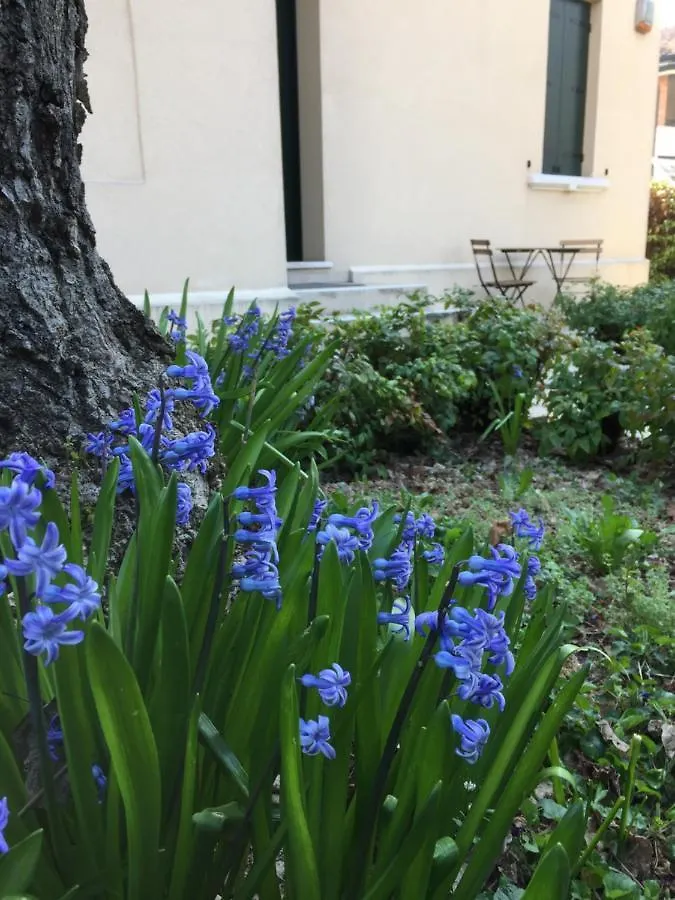 Clara'S Place Apartment Mestre